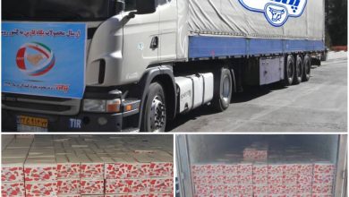 شرکت شیر پاستوریزه پگاه فارس محموله خامه را به کشورهای اوراسیا صادر کرد.