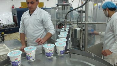جهش تولید،فروش و سود صنایع شیر ایران در ۳ ماهه ۹۹