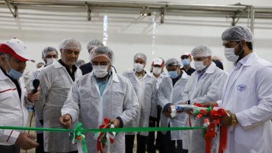 پروژه‌های توسعه‌ای شرکت شیر پاستوریزه پگاه تهران، در ۴ کارخانه جداگانه برای ارتقای تولیدات و ارزش افزوده با حضور مسئولین افتتاح شد.