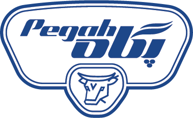 Pegah New Logo vA02